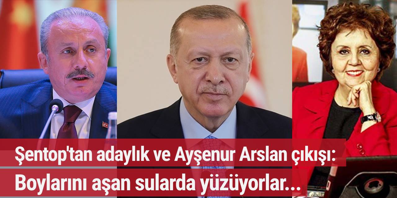 Şentop'tan Ayşenur Arslan ve Erdoğan'ın adaylığı çıkışı: Boylarını aşan sularda yüzüyorlar