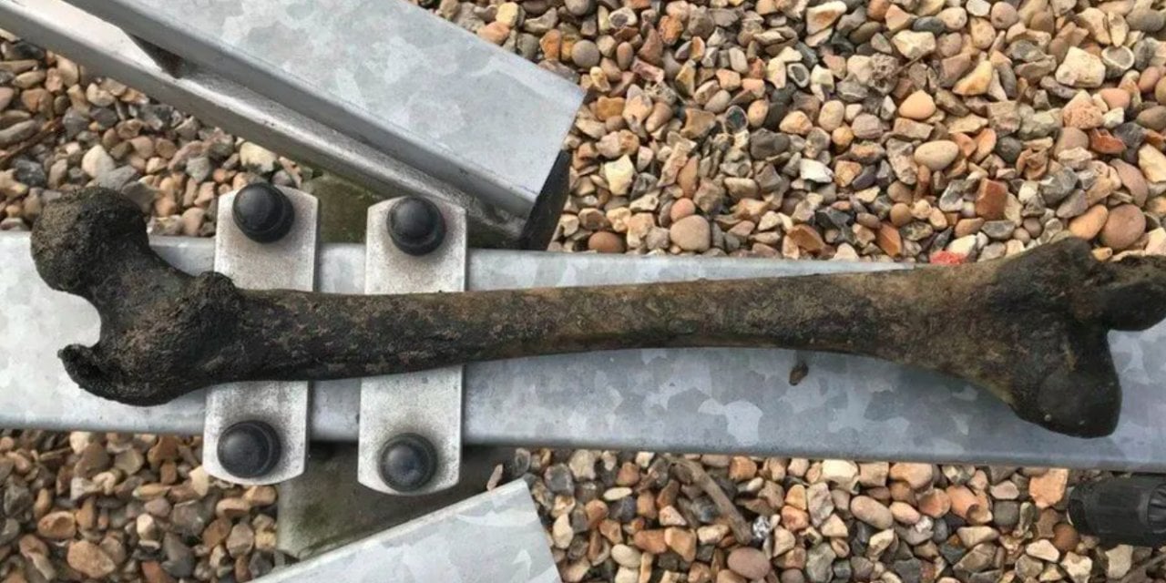 Thames Nehri'nde 5 bin yıllık insan kemiği bulundu