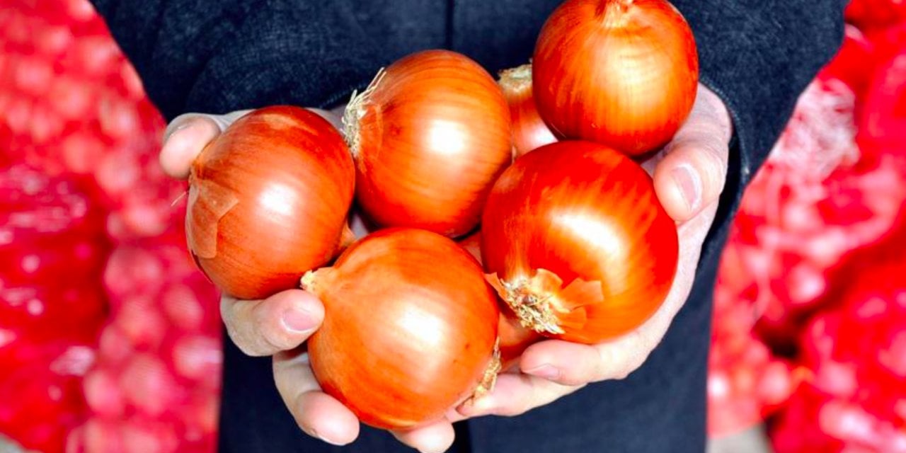 Soğan ve sarımsak bağışıklık sistemini güçlendiriyor