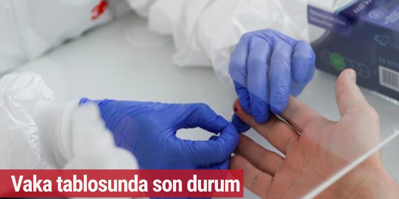 Almanya'da 25 Şubat vaka tablosu