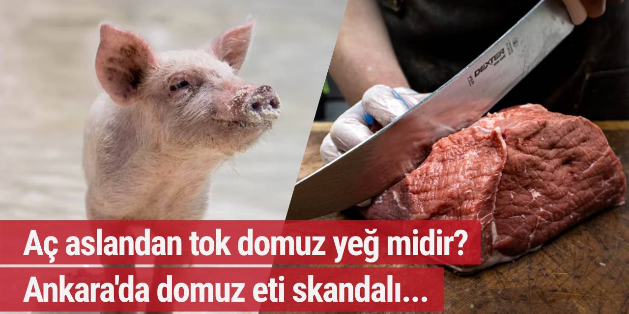 Satarken iyi ortaya çıkında 'Eyvah'!... Ankara'da domuz eti skandalı!