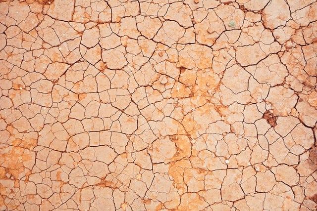 İçilebilir su kıtlığı Afrika'da yüzbinlerce aileyi göçe zorluyor