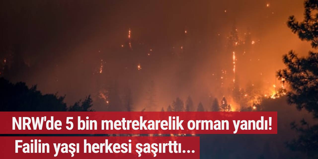 NRW'de 5 bin metrekarelik orman yandı! Failin yaşı herkesi şaşırttı...
