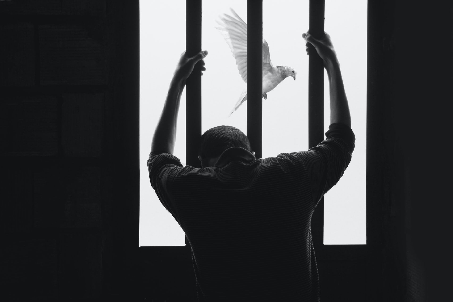 Twitter'ın yanlış bilgi yayımını önlemek için çözümü: Hapis cezası!