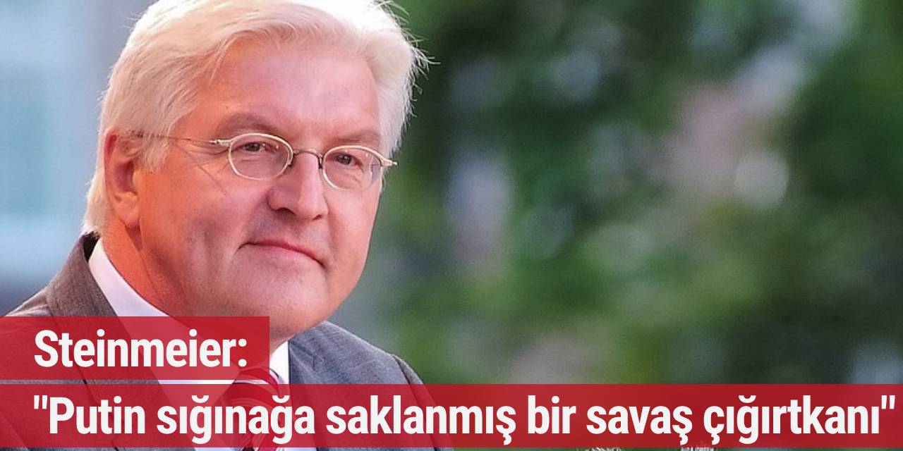 Steinmeier: "Putin, sığınağa saklanmış bir savaş çığırtkanı"