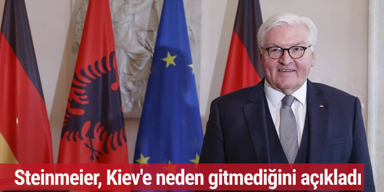 Steinmeier, Kiev'e neden gitmediğini açıkladı