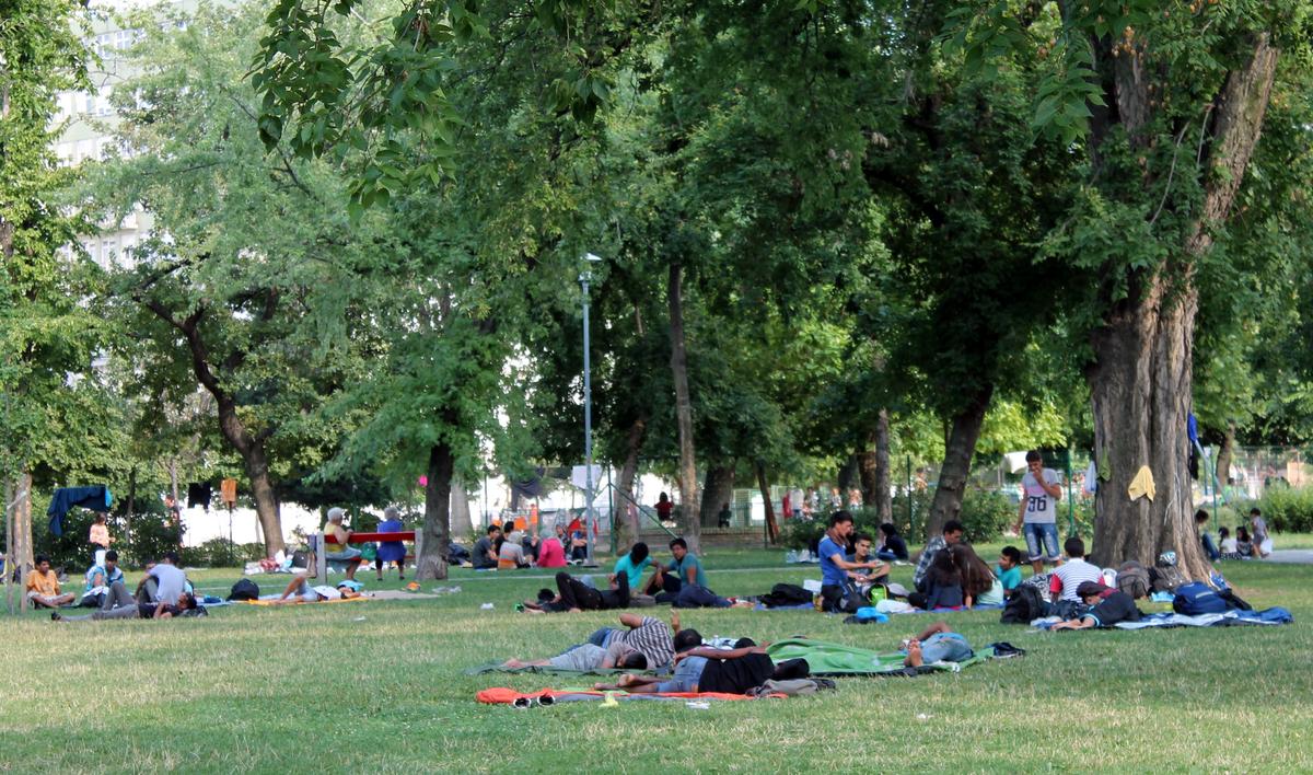 Macar Müslümanlar Türkiye'ye göç etmek istiyor