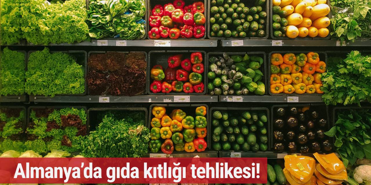 Almanya’da gıda kıtlığı tehlikesi!