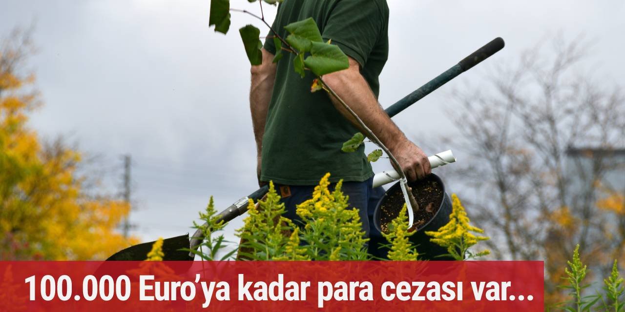 100.000 Euro’ya kadar para cezası! İşte cezası çok yüksek olan beş bahçe işi...