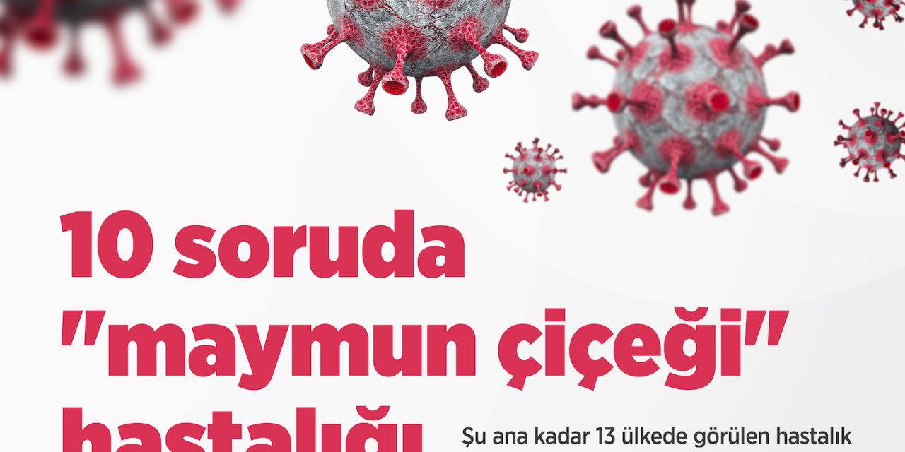 10 soruda "maymun çiçeği" hastalığı
