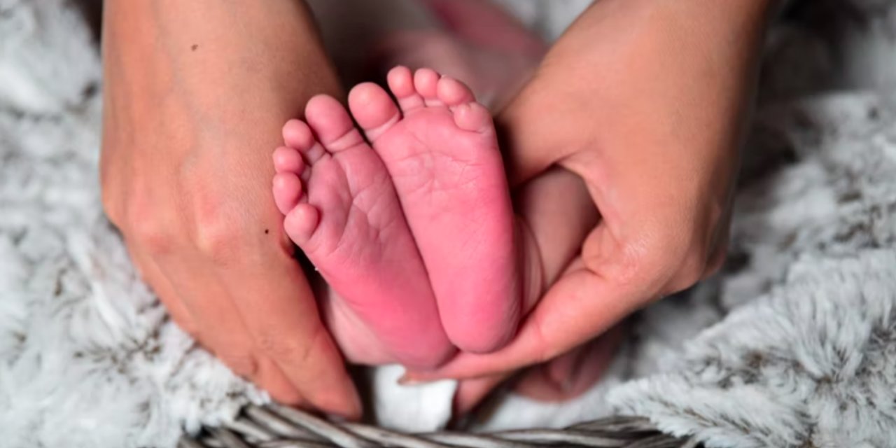 ABD'de bebek maması krizine ilişkin soruşturma
