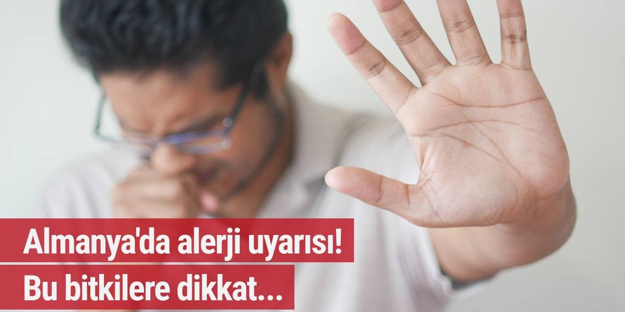 Almanya'da alerji uyarısı!  Bu bitkilere dikkat...