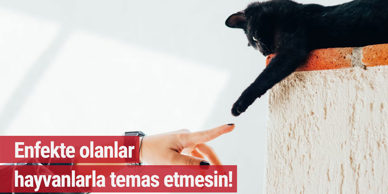 Enfekte olanlar hayvanlarla temas etmesin!