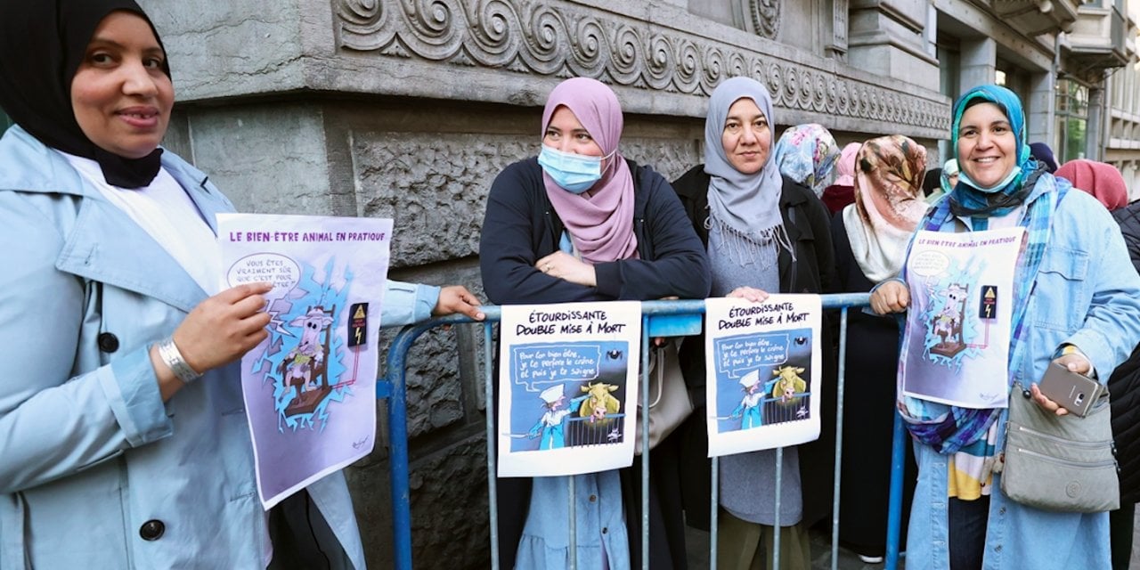 Brüksel'de helal kesimin yasaklanmaması için Müslüman ve Yahudiler dayanışma içinde