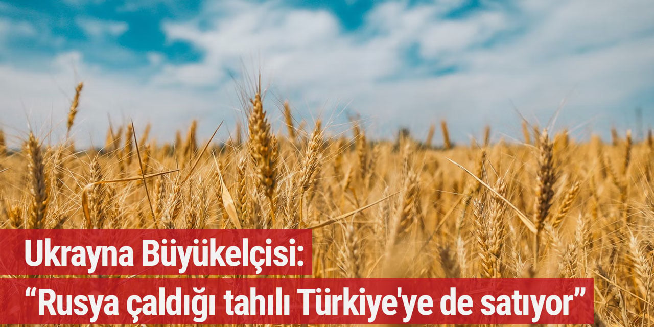 Ukrayna Büyükelçisi: “Rusya çaldığı tahılı Türkiye'ye de satıyor”