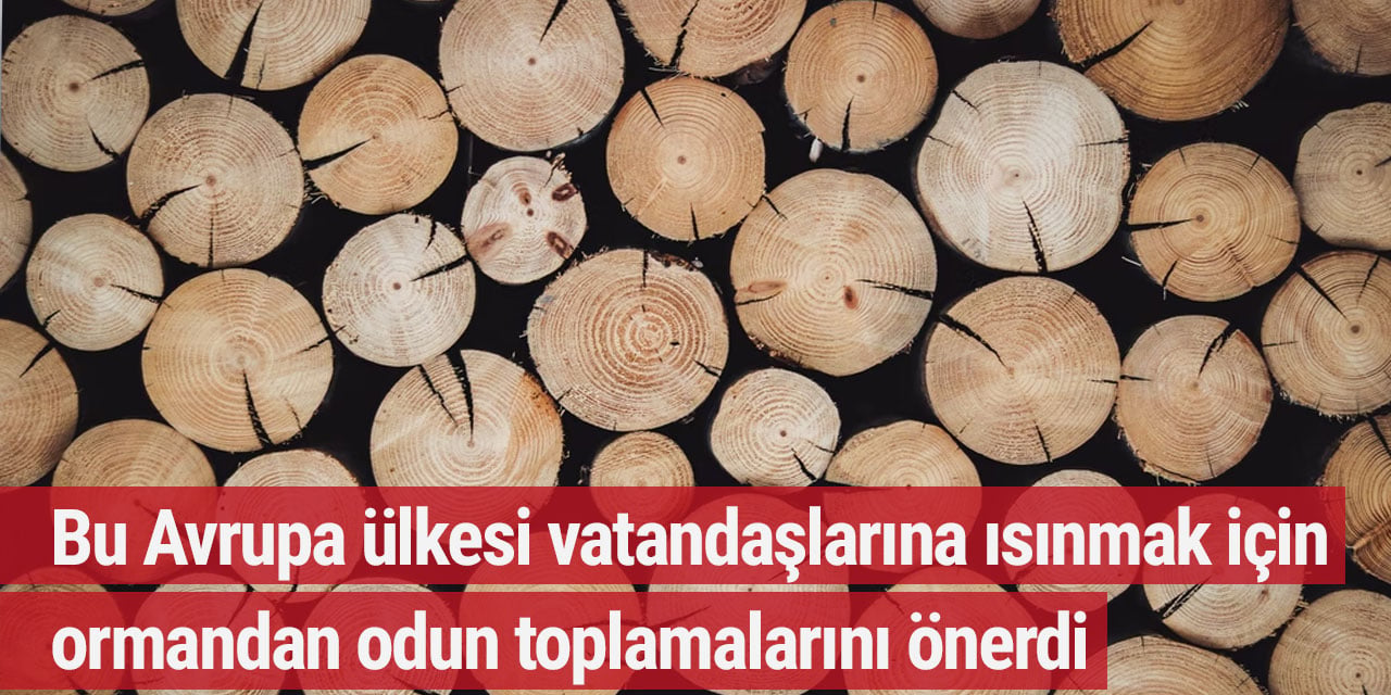 Bu Avrupa ülkesi vatandaşlarına ısınmak için ormandan odun toplamalarını önerdi