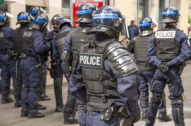 Fransa'da parlamento seçimleri öncesi gündem polis şiddeti