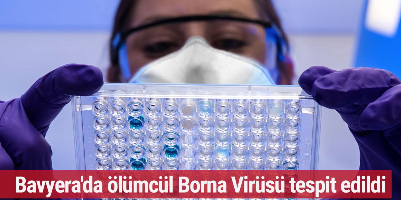 Bavyera'da ölümcül Borna Virüsü tespit edildi