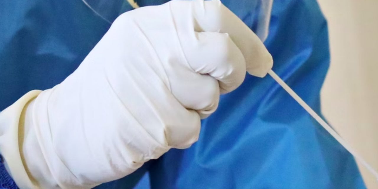 Polonya'da ilk maymun çiçeği vakası görüldü