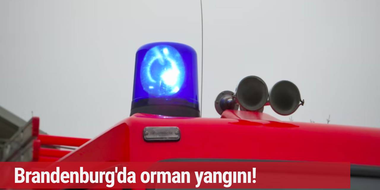 Brandenburg'da orman yangını! Mahalleler tahliye ediliyor...