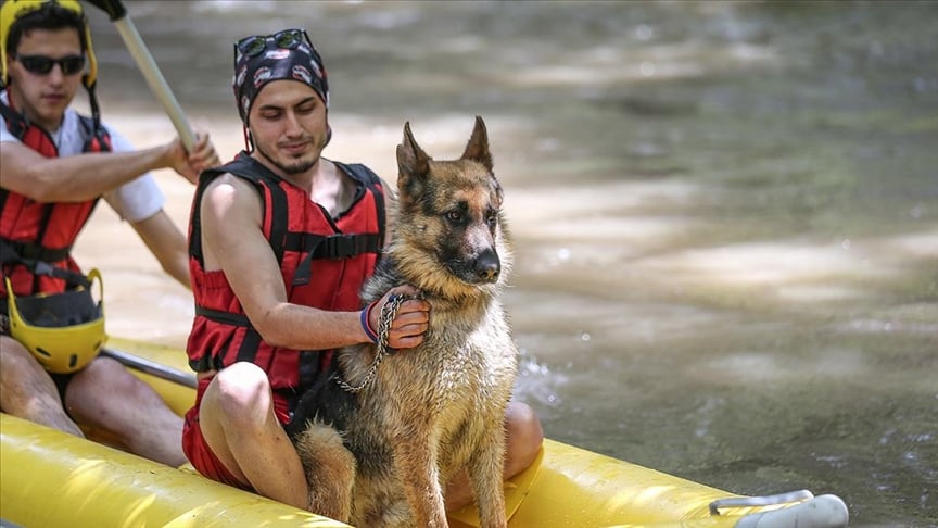 Rafting turlarının maskotu Alman kurt köpeği "Leo"