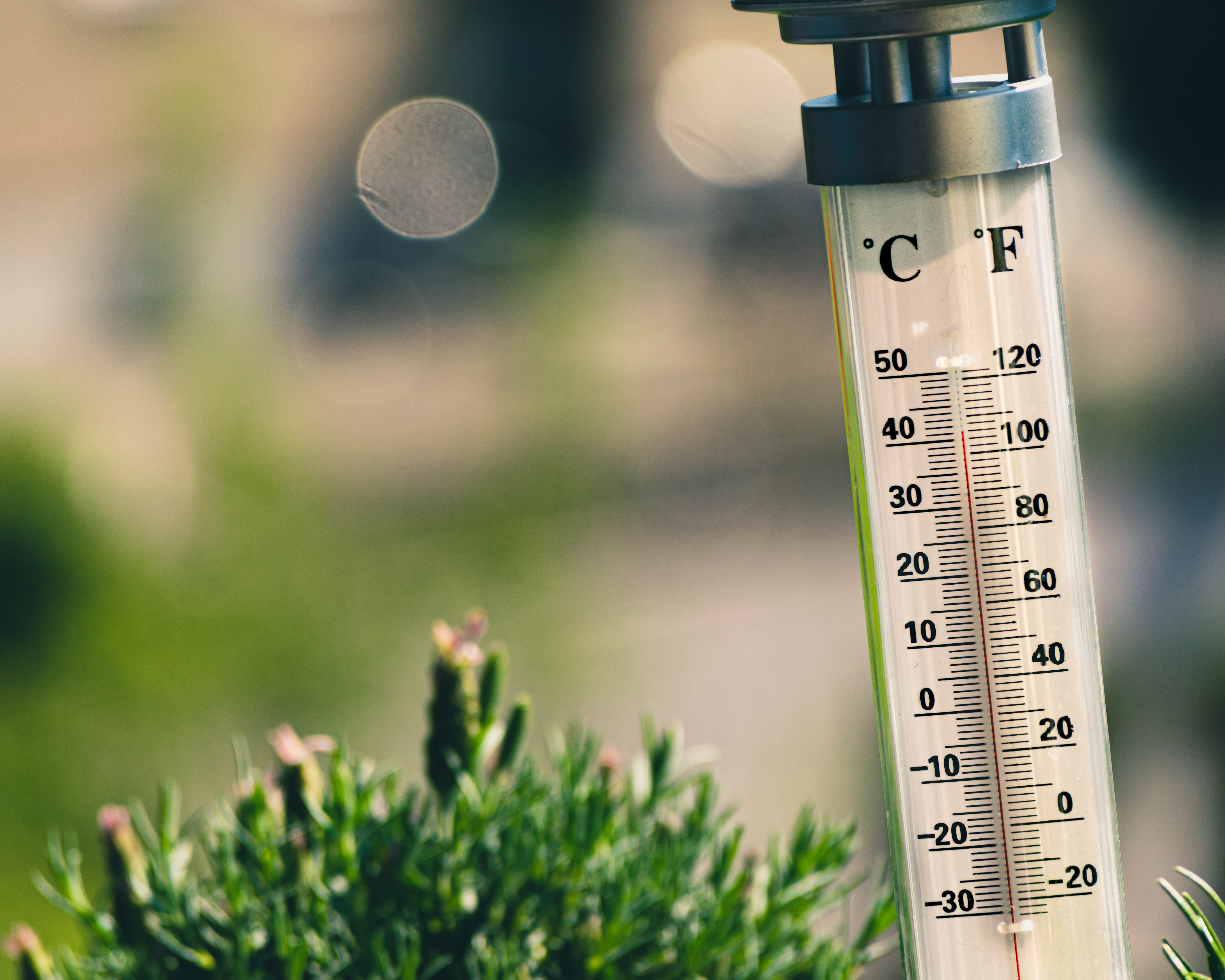 Kuzey Ren-Vestfalya'da hava sıcaklığı 40 dereceye kadar yükselecek