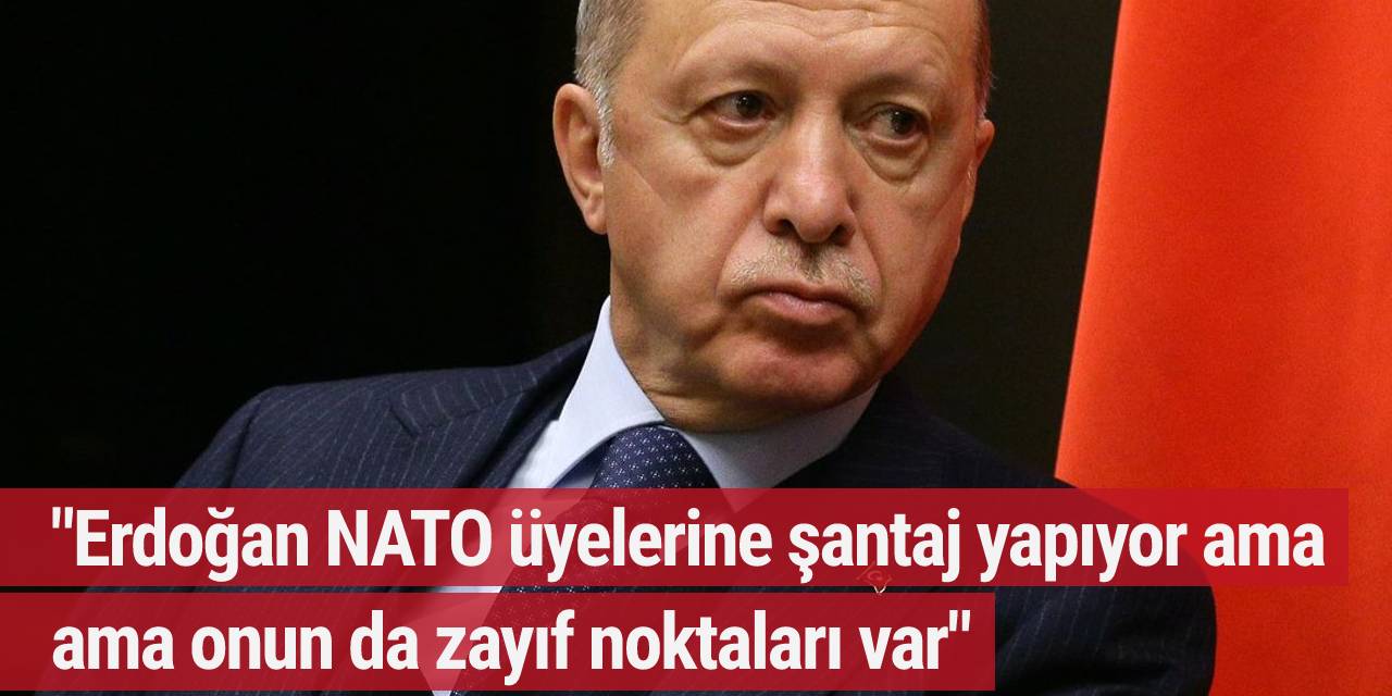 Financial Times: Erdoğan NATO üyelerine şantaj yapıyor ama onun da zayıf noktaları var