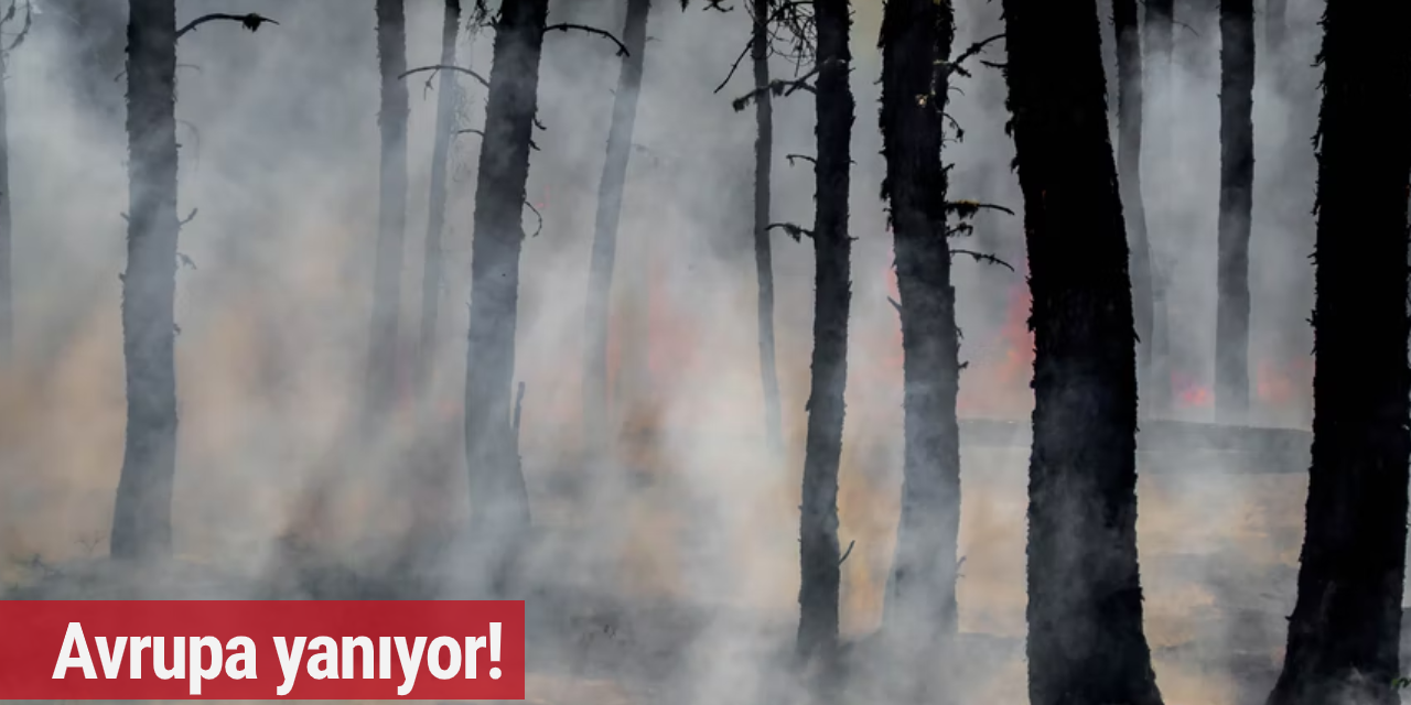 Avrupa yanıyor!