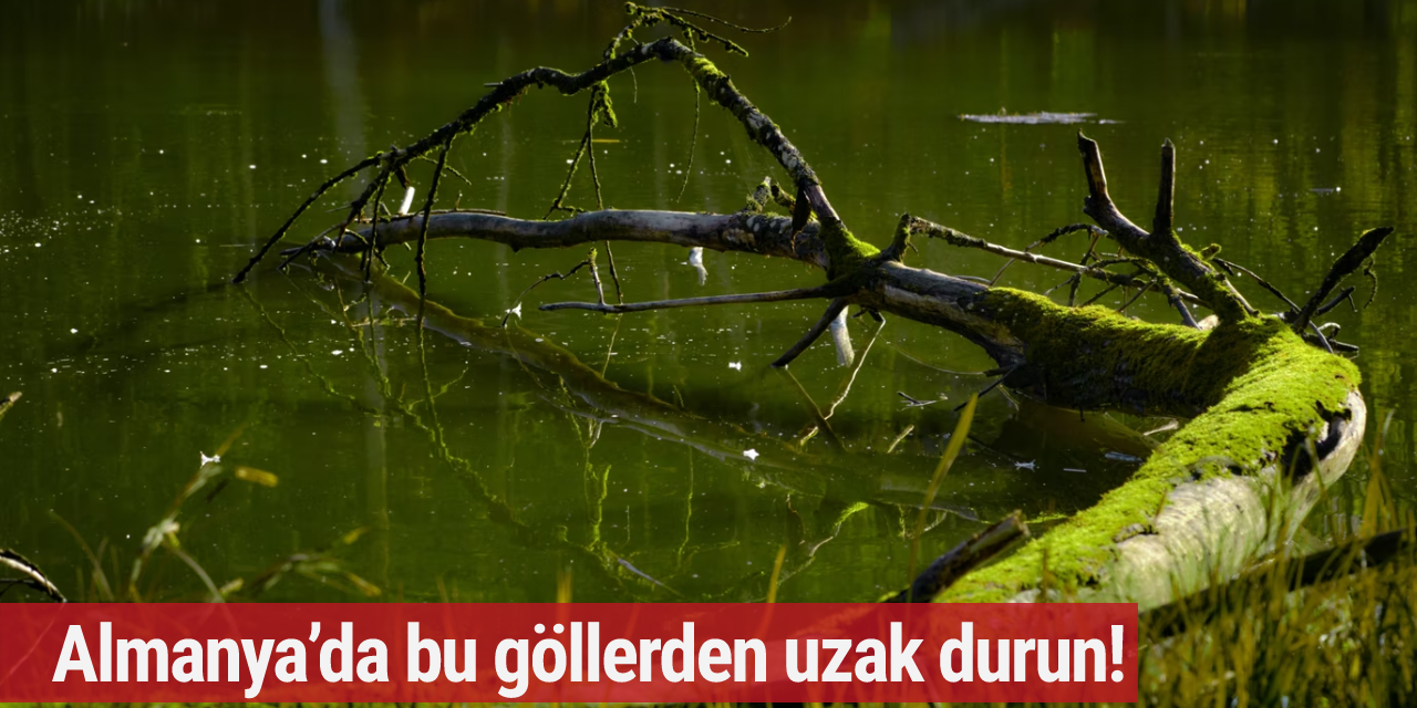 Almanya’da bu göllerden uzak durun!