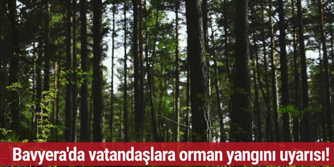 Bavyera'da vatandaşlara orman yangını uyarısı!