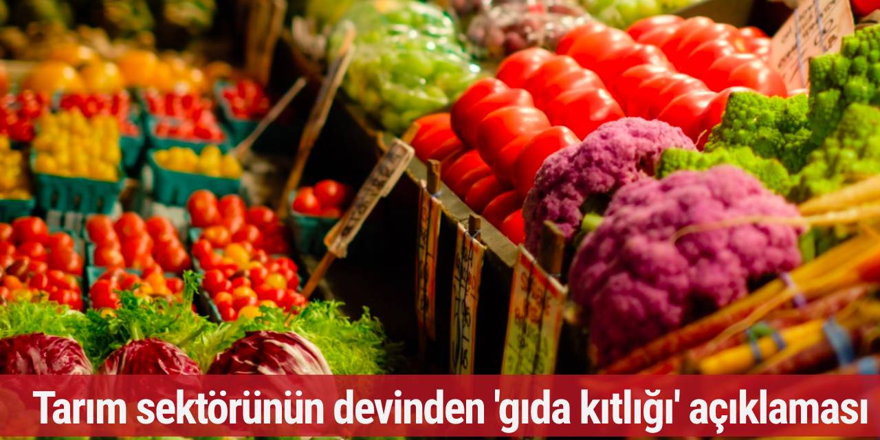 Almanya'da tarım sektörünün devinden gıda kıtlığı açıklaması