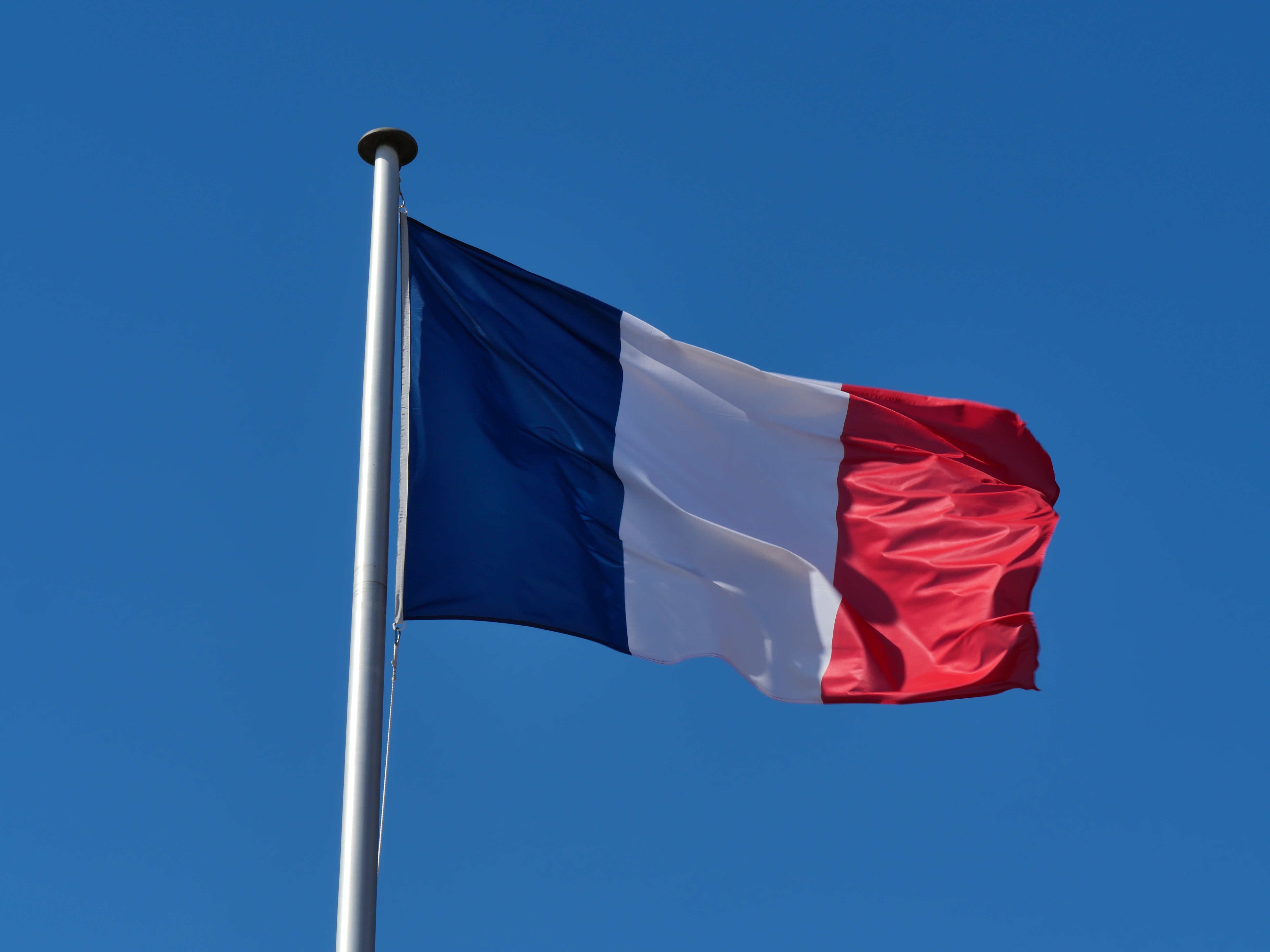 Fransa'da Nazi selamı veren milletvekiline hafif ceza