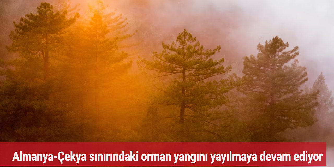 Almanya-Çekya sınırındaki orman yangını yayılmaya devam ediyor