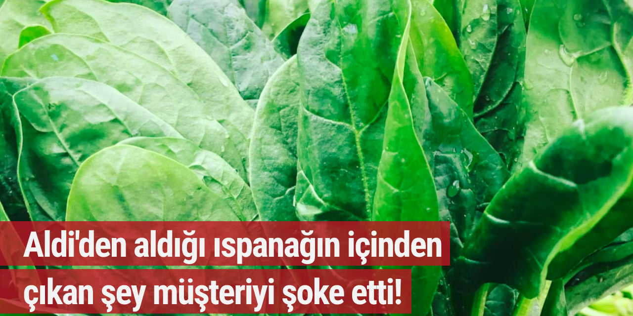 Aldi'den aldığı ıspanağın içinden çıkan şey müşteriyi şoke etti!