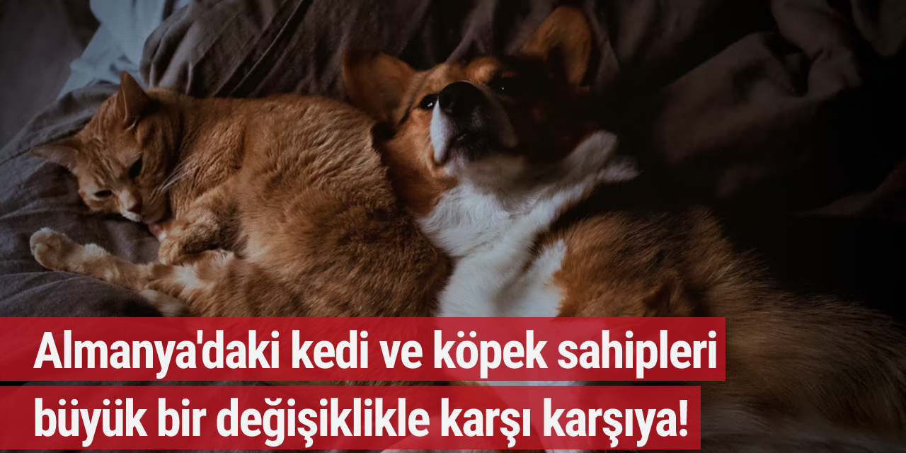 Almanya'daki kedi ve köpek sahipleri büyük bir değişiklikle karşı karşıya!