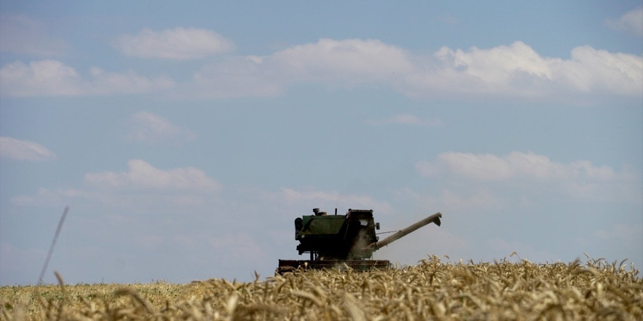 Dünya, Ukrayna'dan tahıl sevkiyatının başlamasını memnuniyetle karşıladı