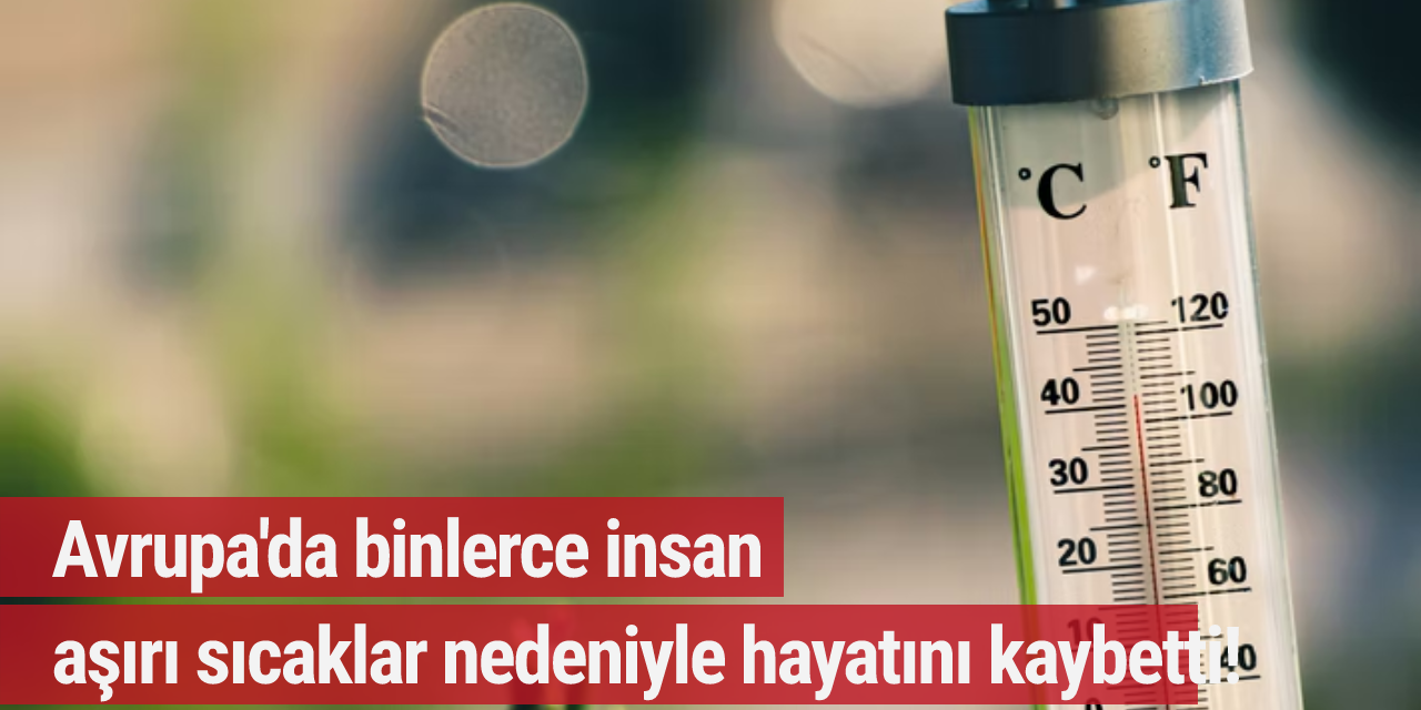 Avrupa'da binlerce insan aşırı sıcaklar nedeniyle hayatını kaybetti!