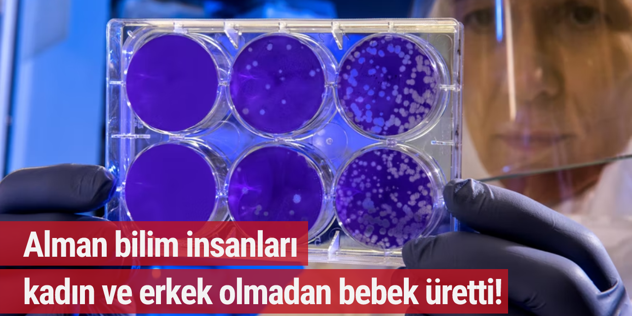 Alman bilim insanları kadın ve erkek olmadan bebek üretti!