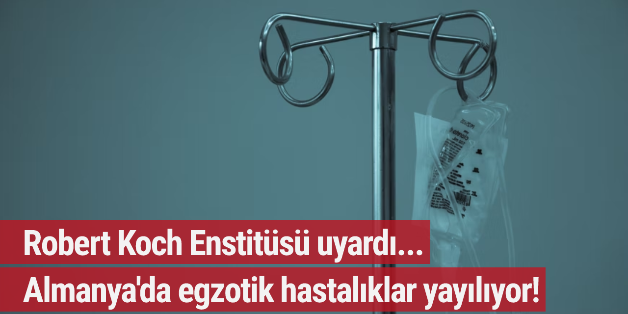 Robert Koch Enstitüsü uyardı... Almanya'da egzotik hastalıklar yayılıyor!