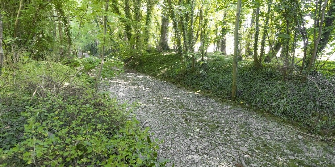 İngiltere'deki Thames Nehri'nin kaynağı kuruyor