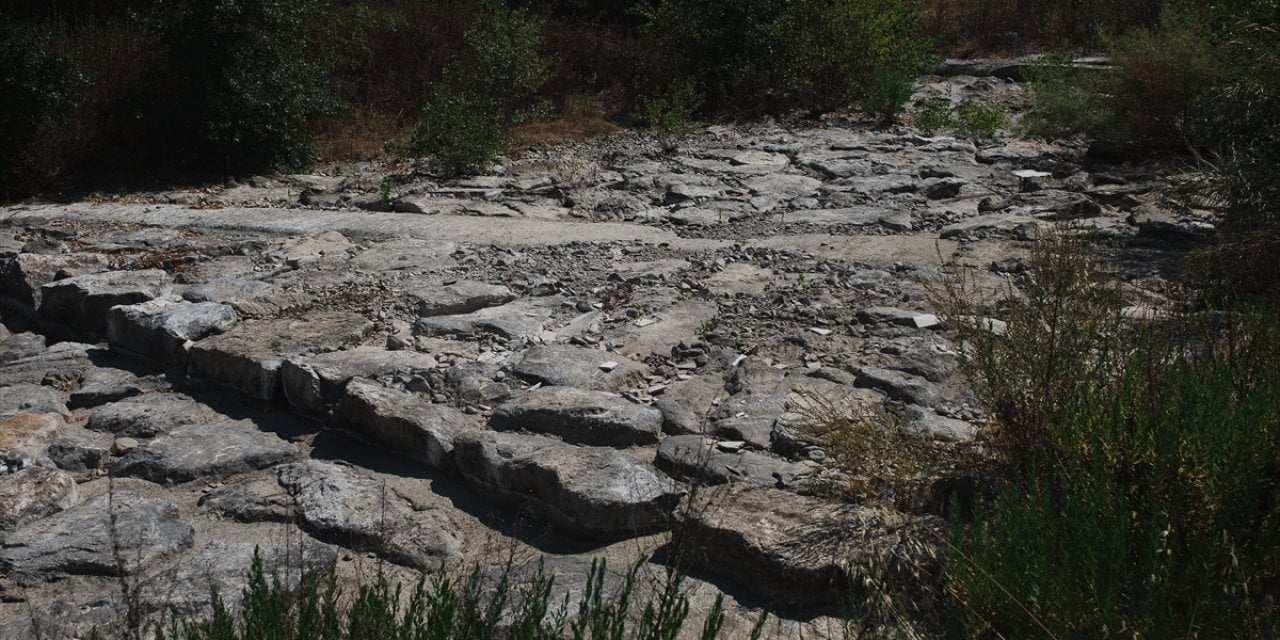 Avrupa'da kuraklık alarmı