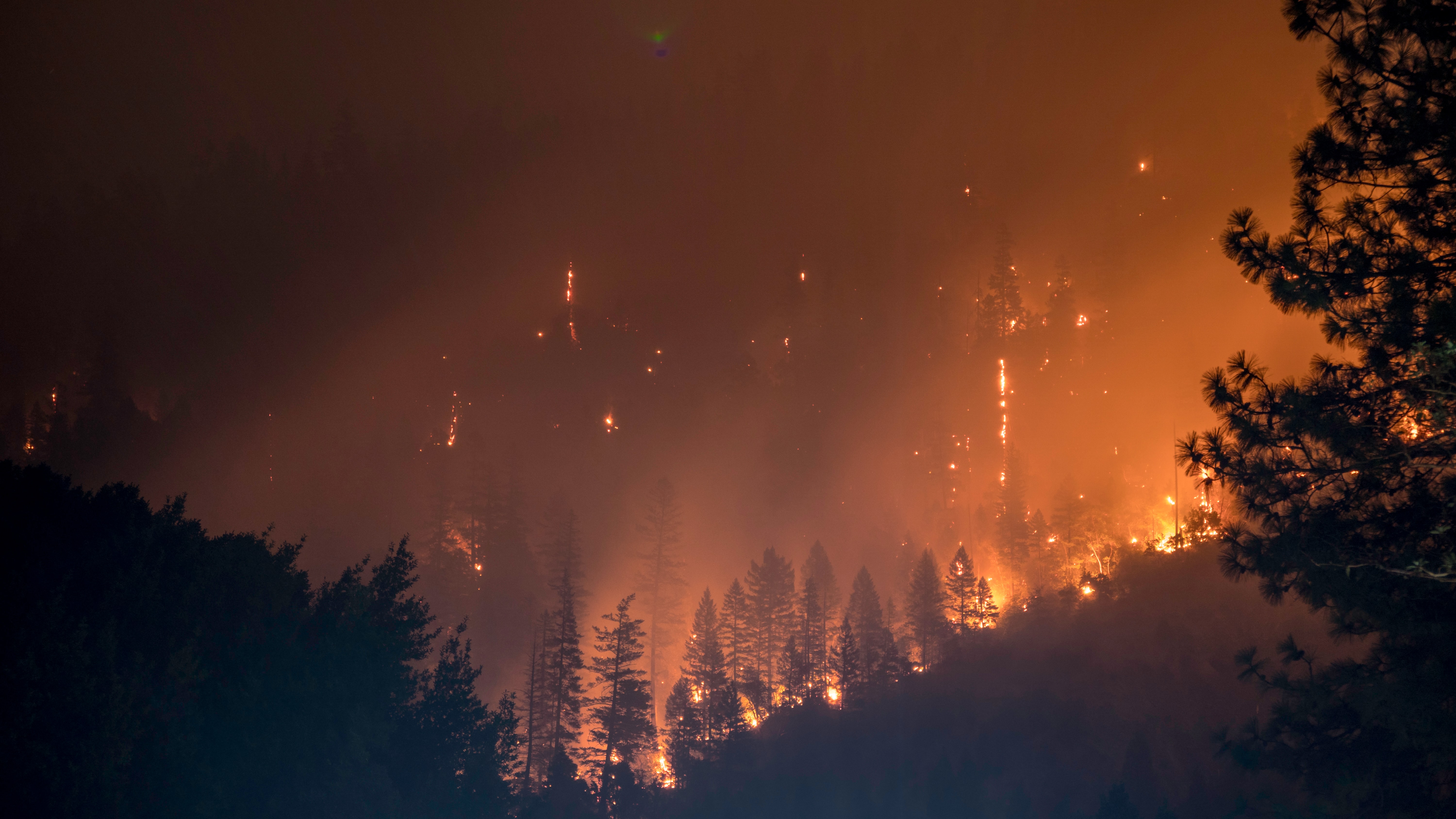 AB, orman yangınlarıyla mücadele için Fransa'ya uçak gönderdi
