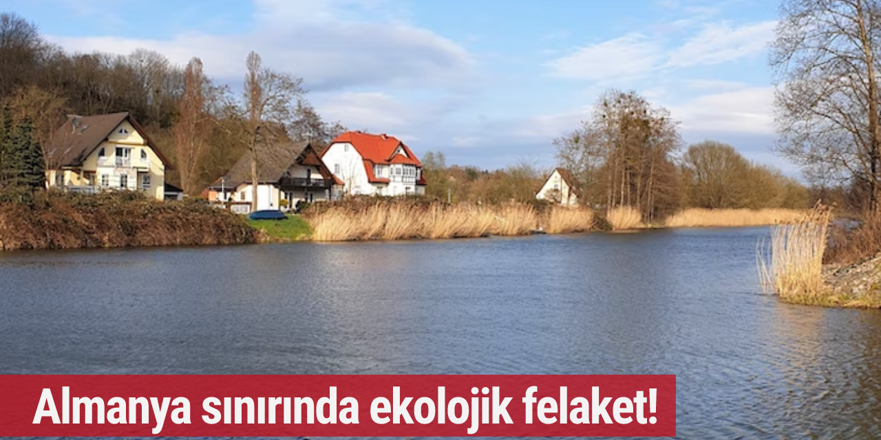 Almanya sınırında ekolojik felaket!