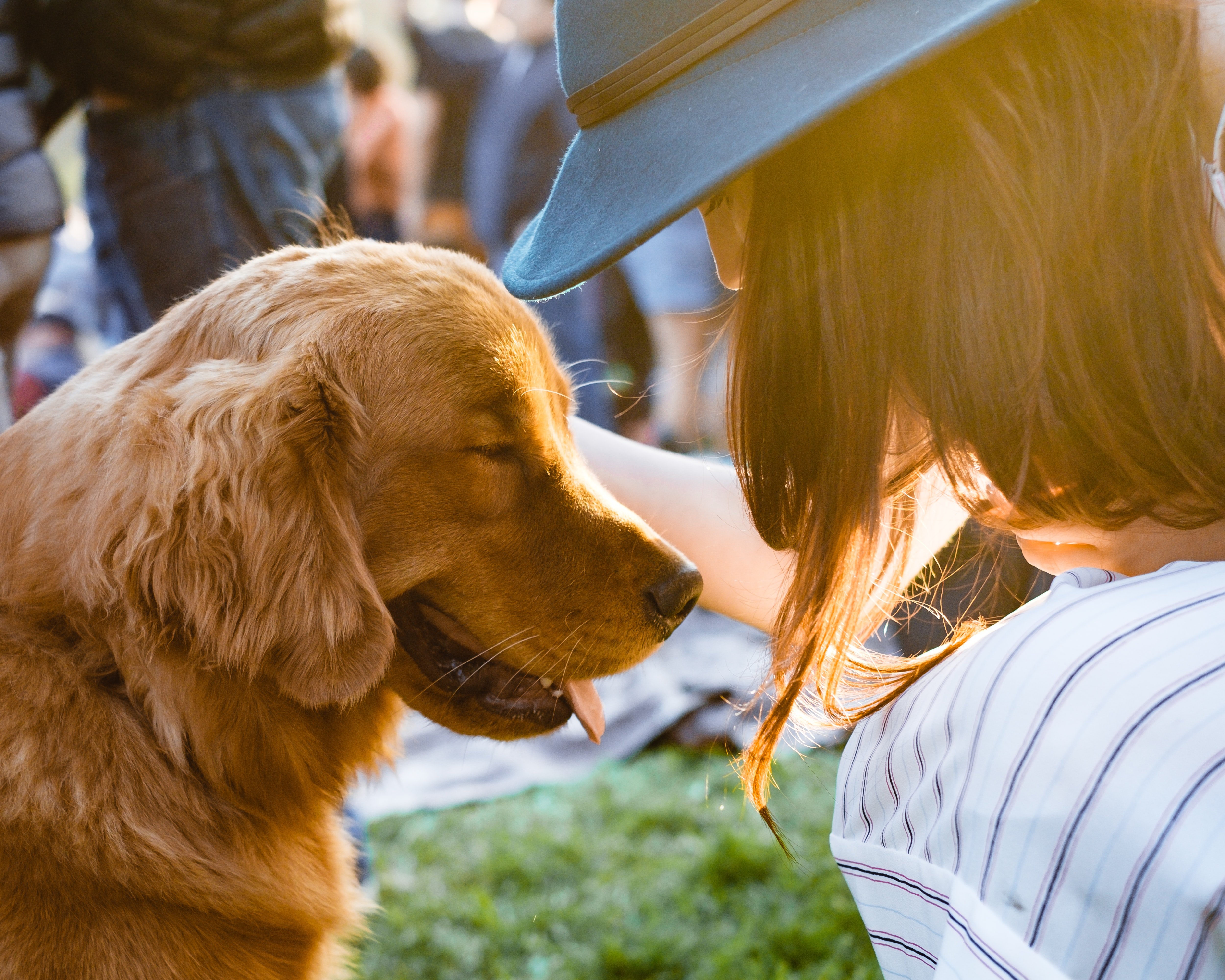 Köpeklerin sevinçten ağlayabildiği ortaya çıktı
