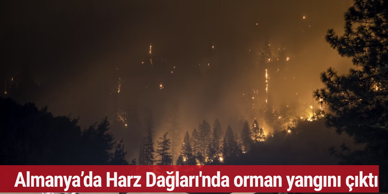 Almanya’da Harz Dağları'nda orman yangını çıktı