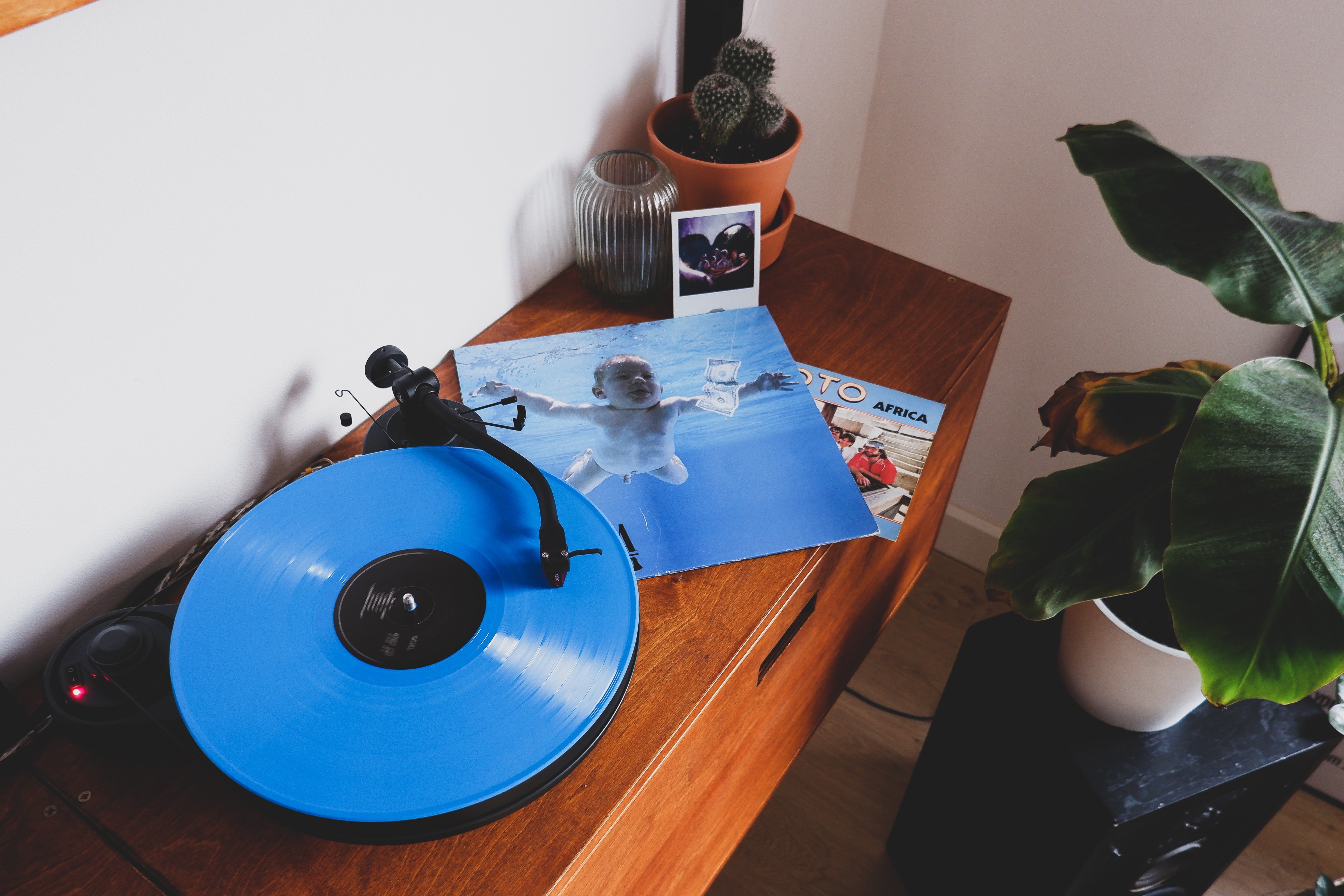 Nirvana, Nevermind albüm kapağı için açılan davayı kazandı