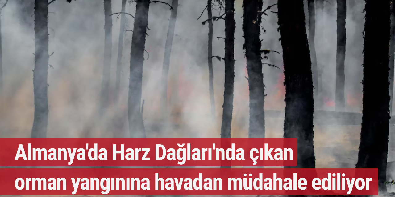 Almanya'da Harz Dağları'nda çıkan orman yangınına havadan müdahale ediliyor