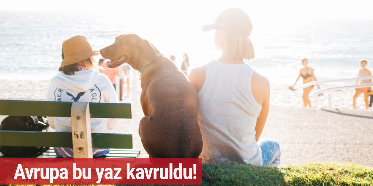 Avrupa bu yaz kavruldu!