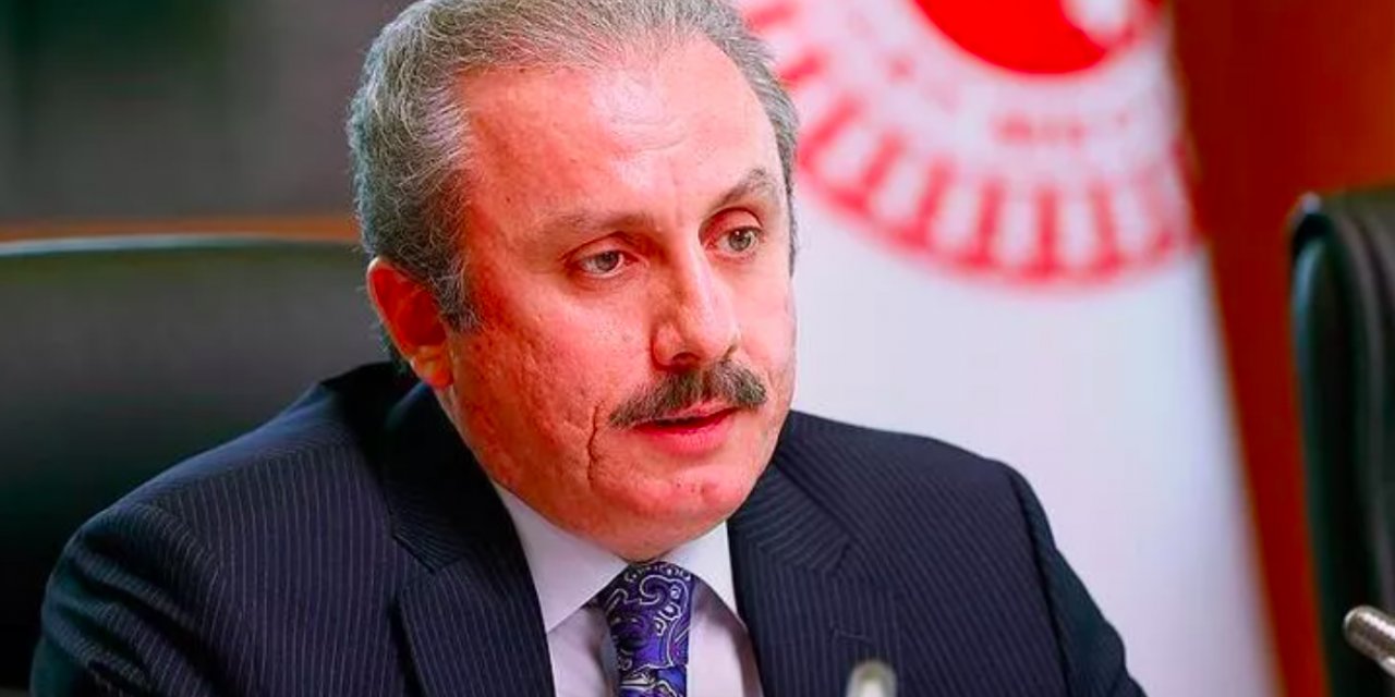 Şentop'tan, Alman mevkidaşına kınama mektubu