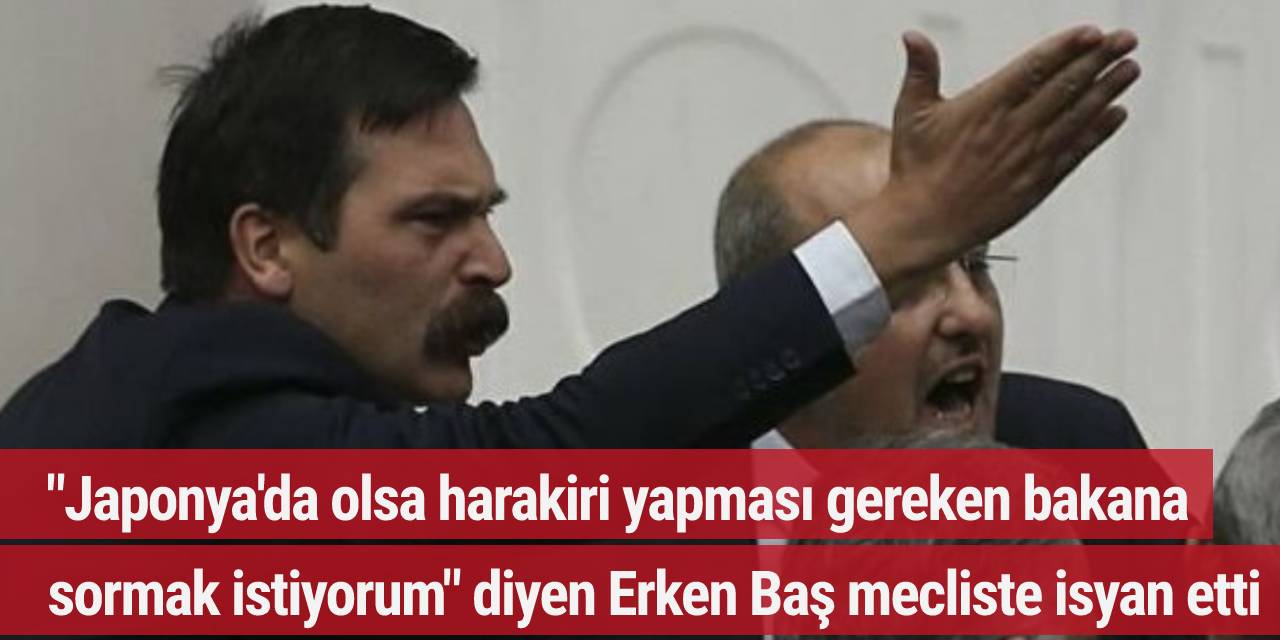 "Japonya'da olsa harakiri yapması gereken bakana sormak istiyorum" diyen Erken Baş mecliste isyan etti